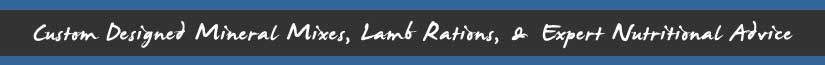 Custom Designed Mineral Mixes, Lamb Rations, & Expert Nutritional Advice