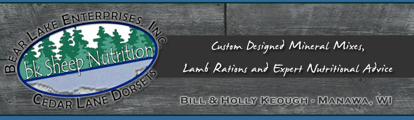BK SHEEP NUTRITION SERVICES