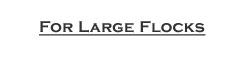 Large Flocks