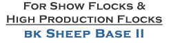 Show Flocks